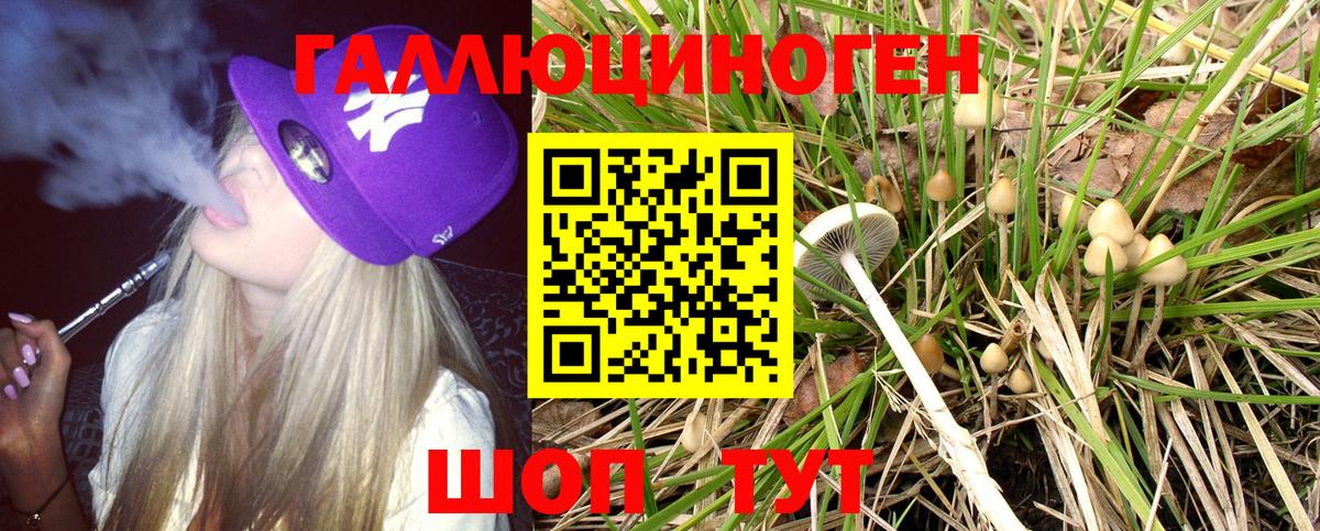 Псилоцибиновые грибы Psilocybe  Вход с VPN  Котельники 