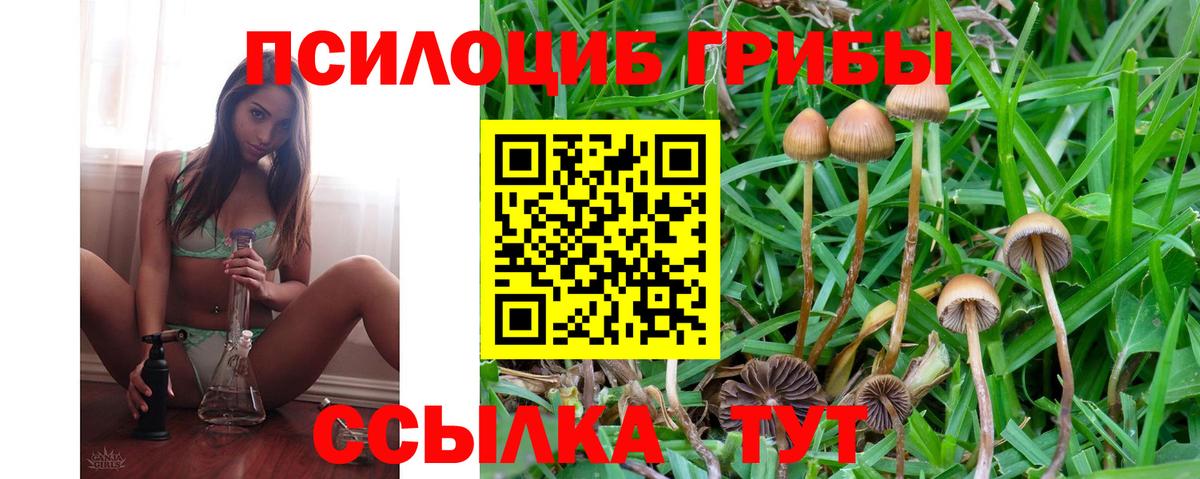 Галлюциногенные грибы MAGIC MUSHROOMS Котельники